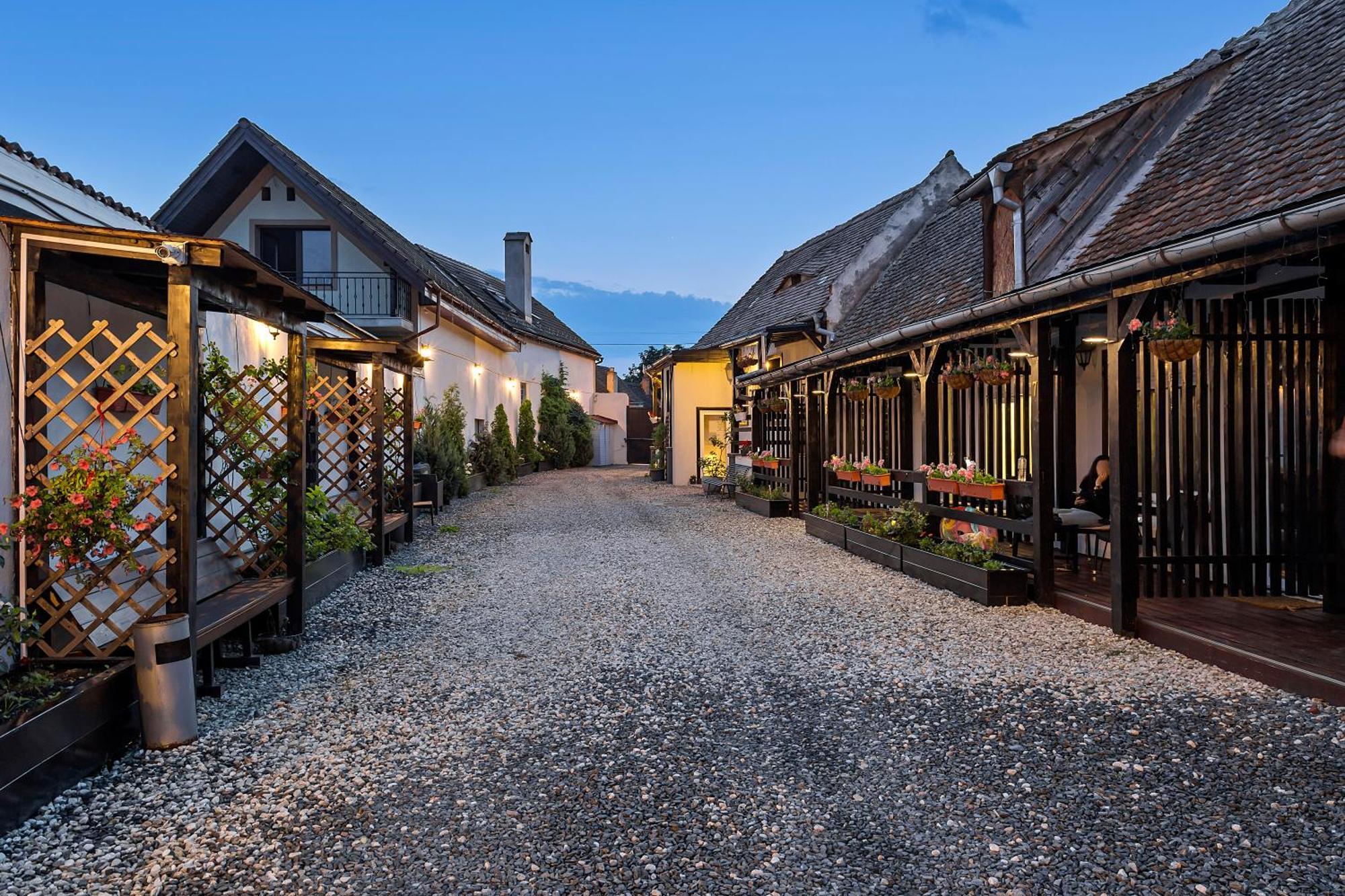 Pensiunea Alina "Adults Only" Sibiu Exterior foto